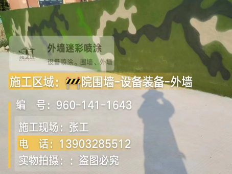 鄂州 迷彩漆喷涂价格（按平方米计费）